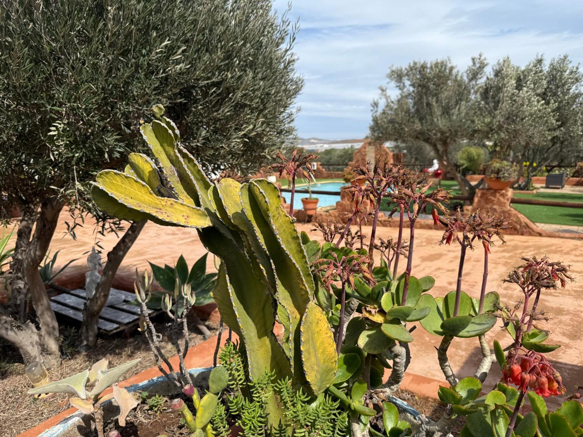 Olivares Rural Appartamento