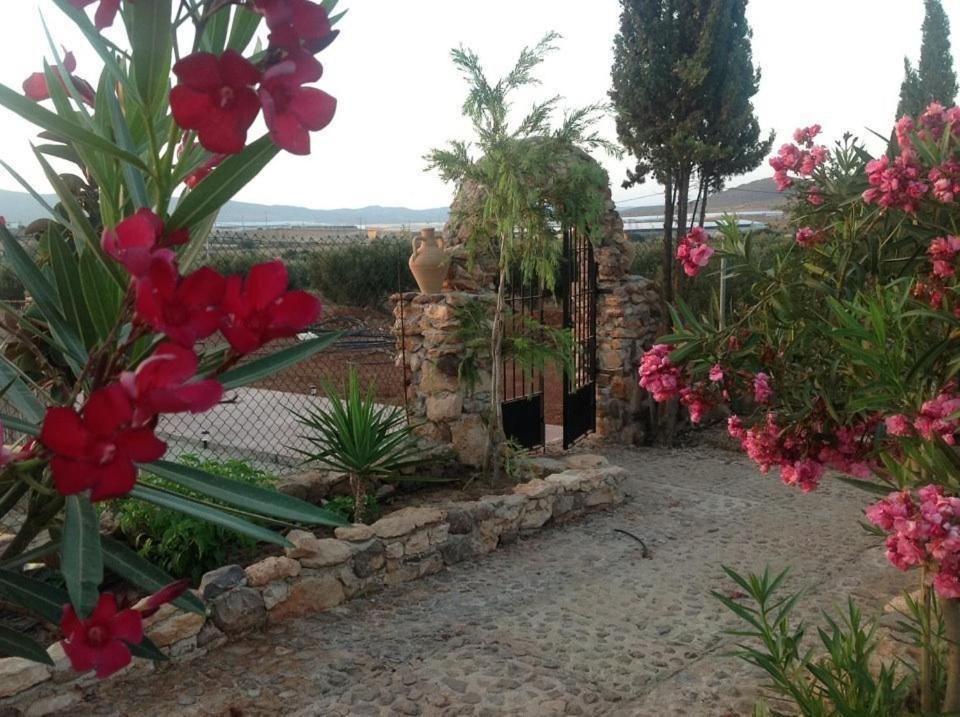 Appartamento Olivares Rural *