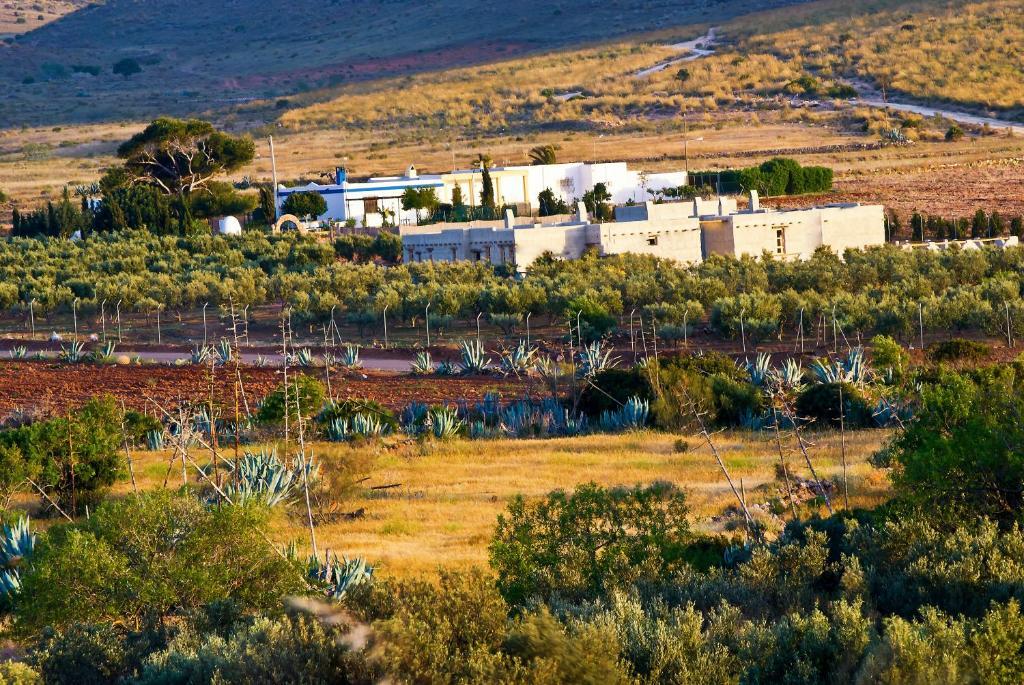 Appartamento Olivares Rural