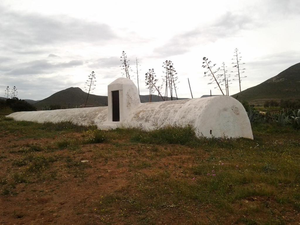 Olivares Rural Apartment Los Albaricoques