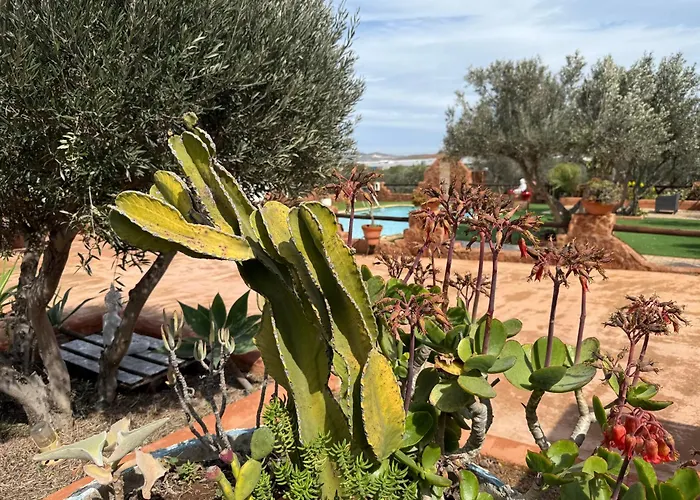 Olivares Rural