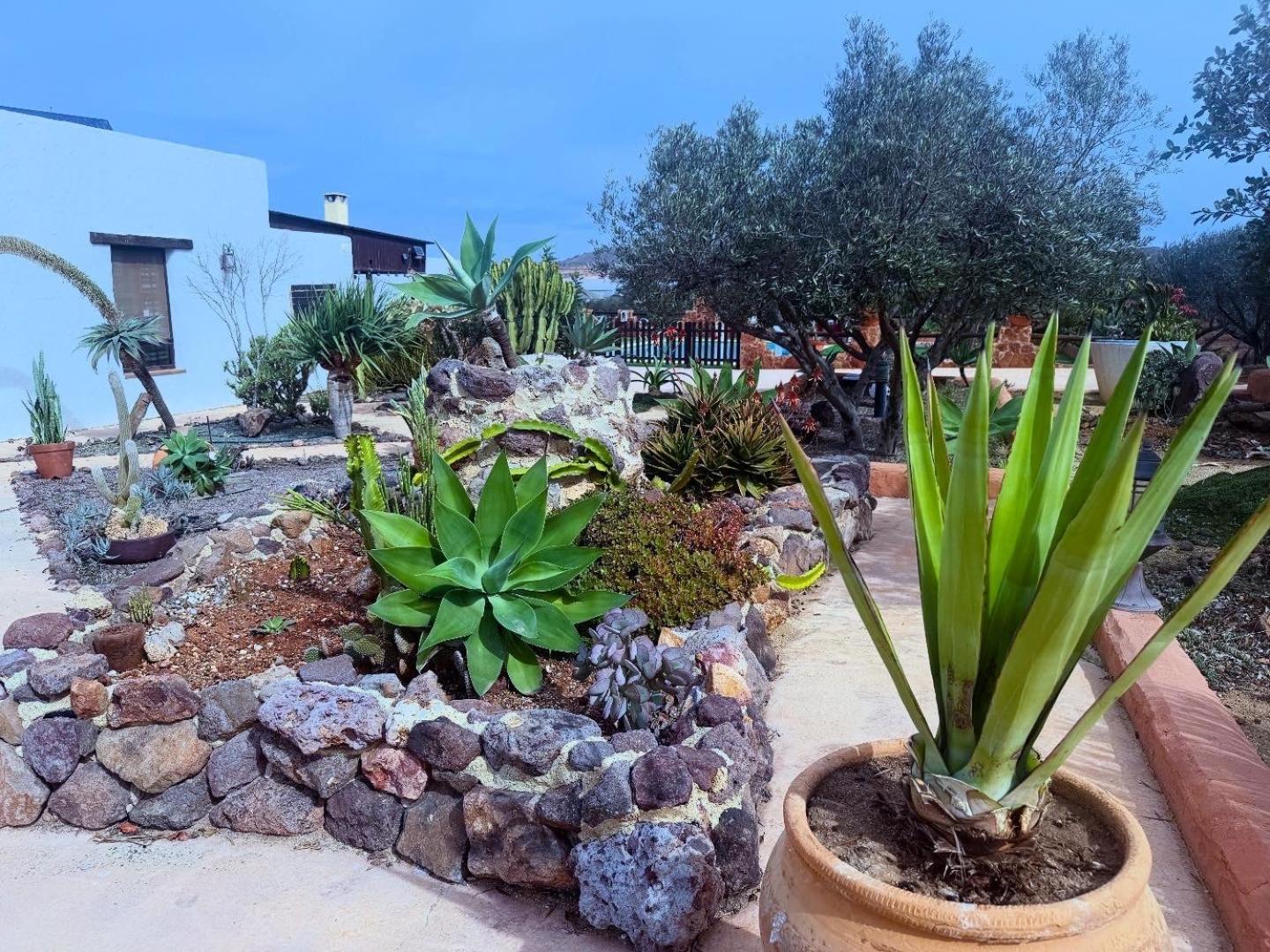 Olivares Rural Apartamento